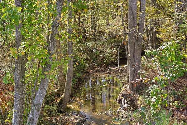 1.69 Acres of Residential Land for Sale in Talking Rock, Georgia