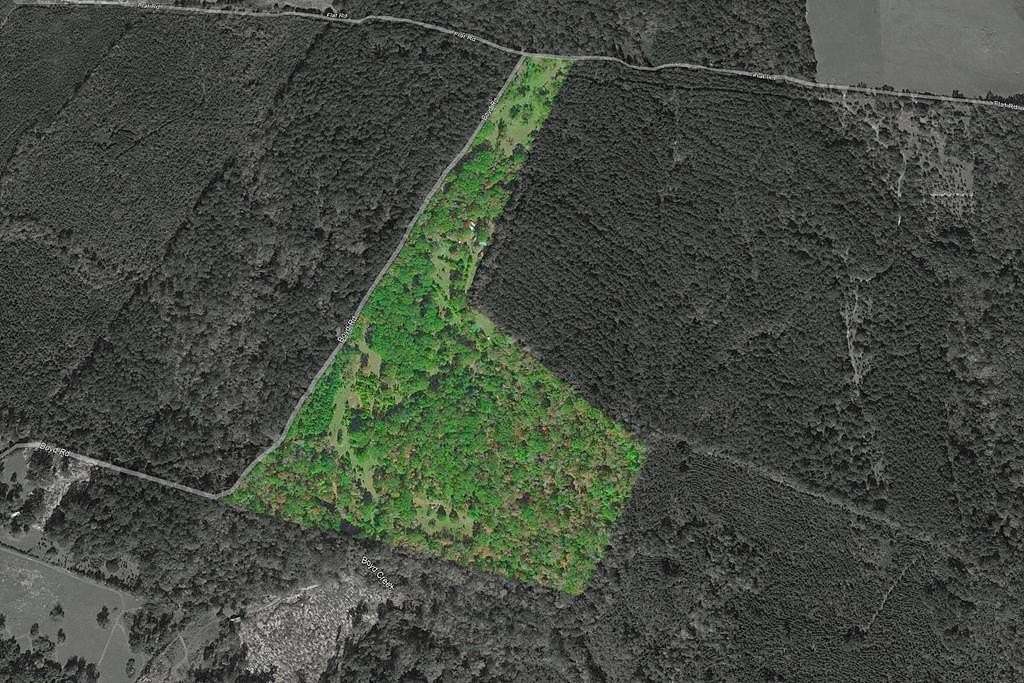 52.5 Acres of Recreational & Residential Land for Sale in Milam, Texas