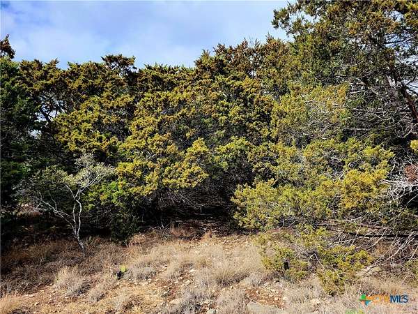 0.95 Acres of Residential Land for Sale in Fischer, Texas