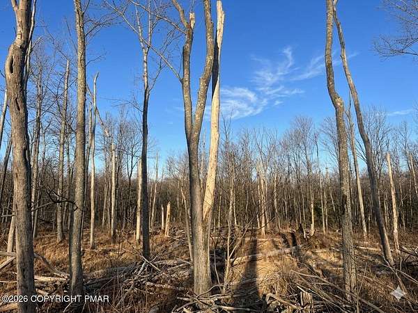 0.28 Acres of Residential Land for Sale in Tobyhanna, Pennsylvania