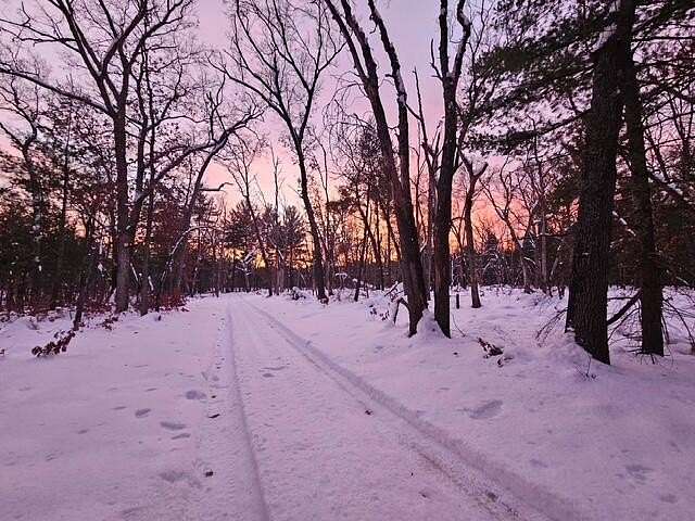 19.9 Acres of Recreational & Residential Land for Sale in Hesperia, Michigan