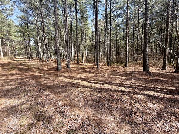 2 Acres of Residential Land for Sale in Haletown, Tennessee