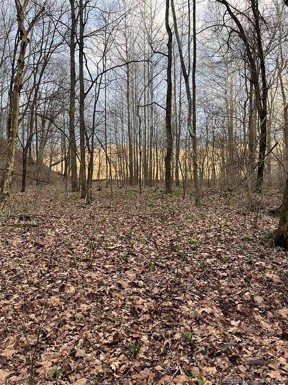 53.9 Acres of Recreational Land for Sale in Vallonia, Indiana