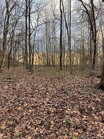 53.9 Acres of Recreational Land for Sale in Vallonia, Indiana