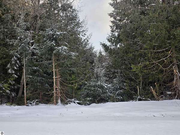 0.55 Acres of Residential Land for Sale in Oscoda, Michigan