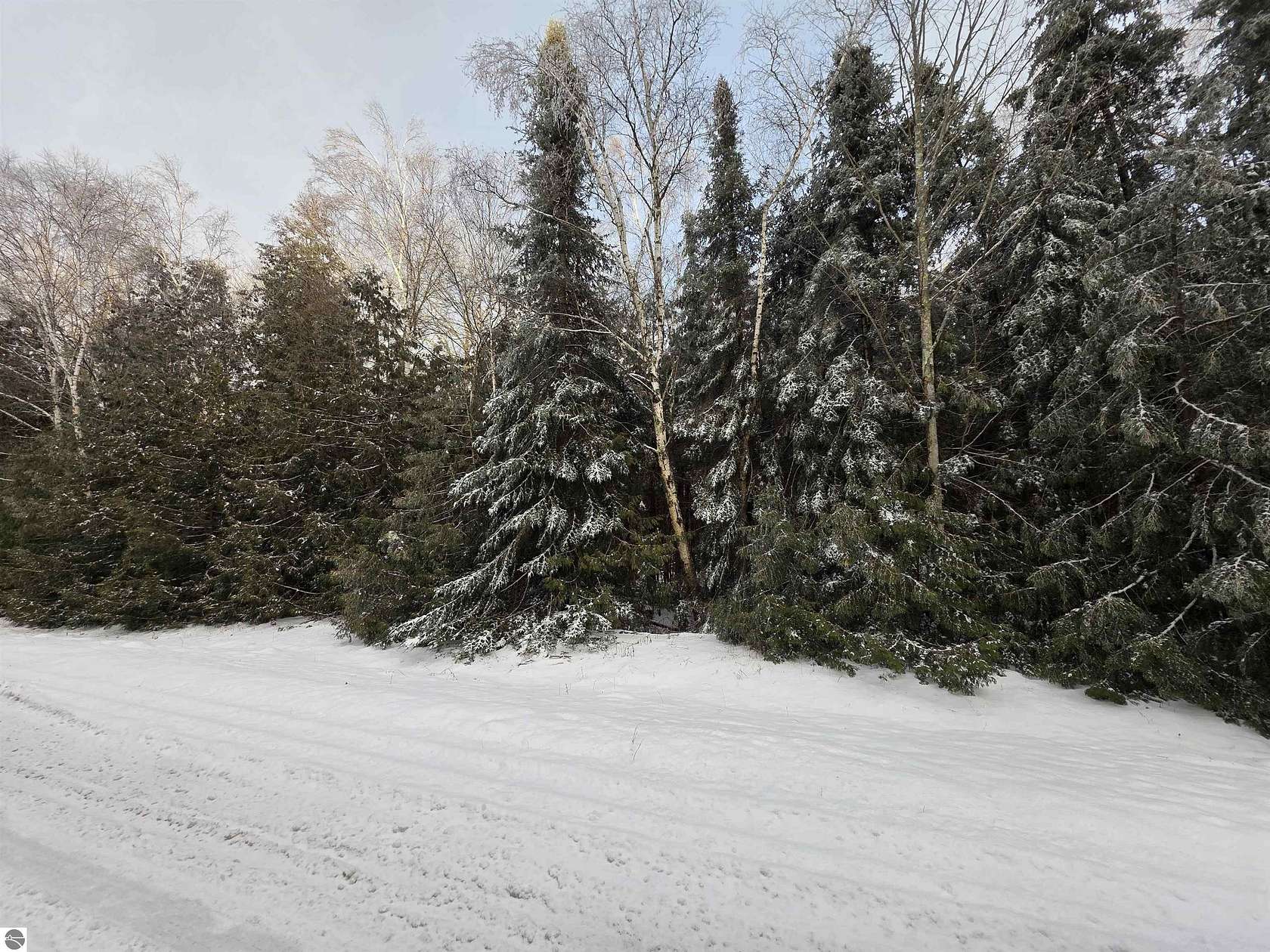 0.41 Acres of Residential Land for Sale in Oscoda, Michigan
