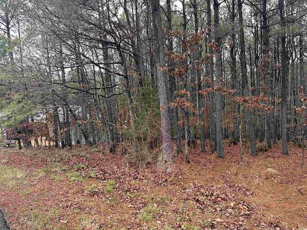 0.41 Acres of Residential Land for Sale in Hot Springs Village, Arkansas