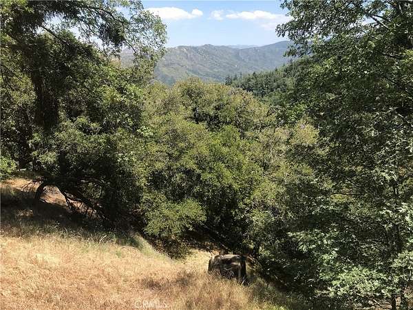 0.09 Acres of Land for Sale in Cedarpines Park, California