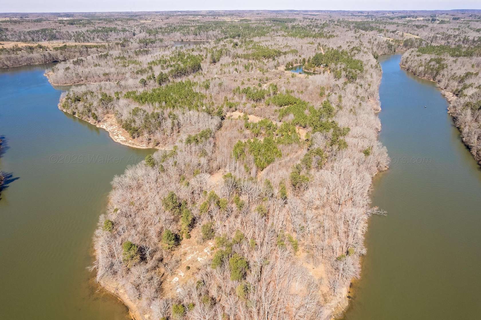 73 Acres of Land for Sale in Bear Creek, Alabama