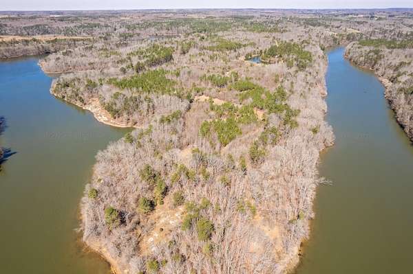 73 Acres of Land for Sale in Bear Creek, Alabama