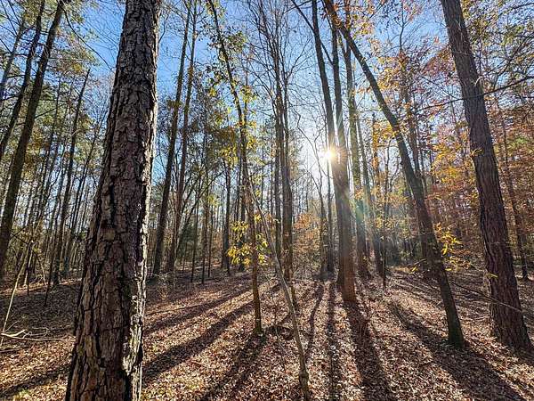 3 Acres of Land for Sale in Wetumpka, Alabama