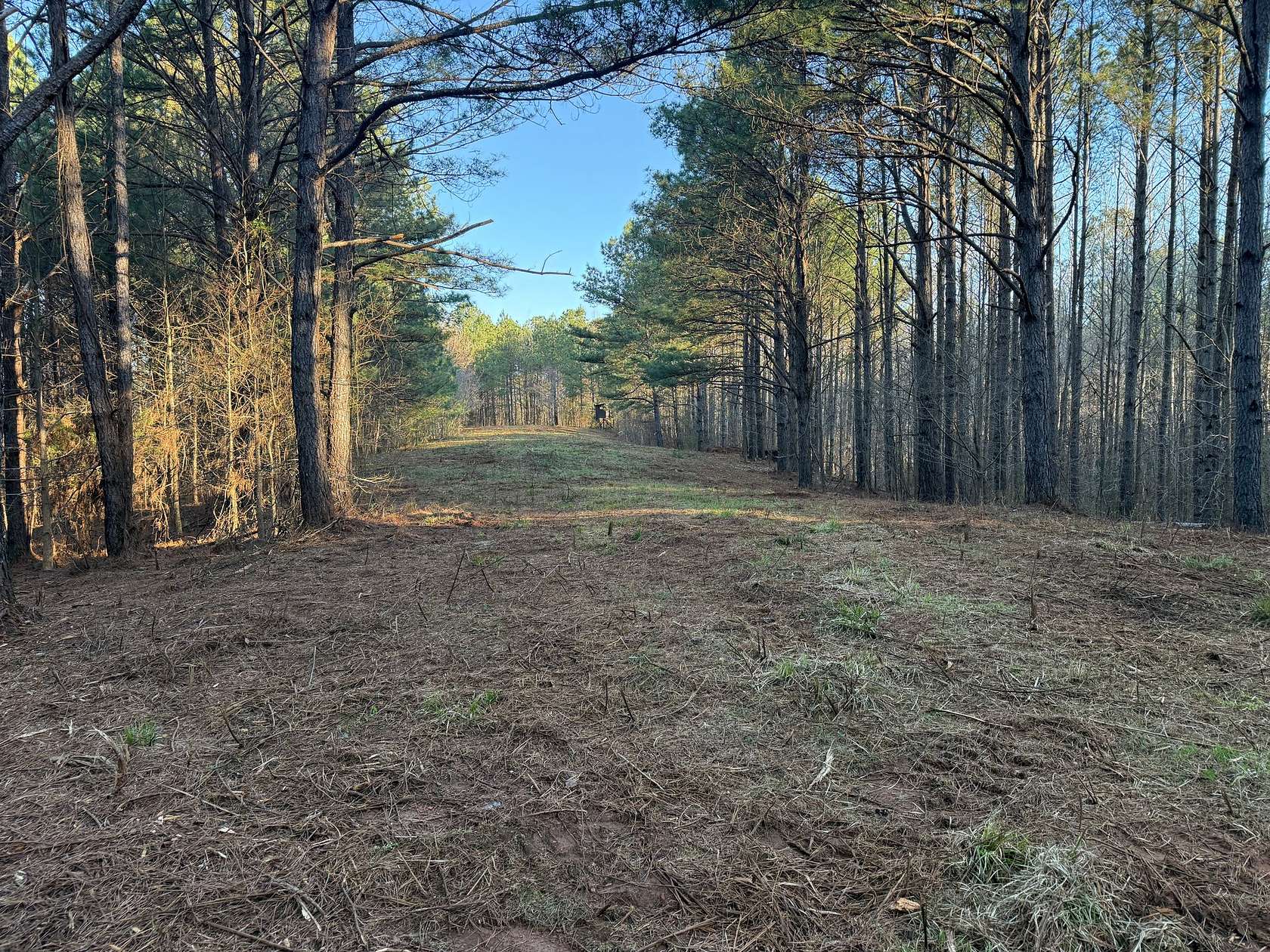 27 Acres of Recreational & Residential Land for Sale in Goodwater, Alabama
