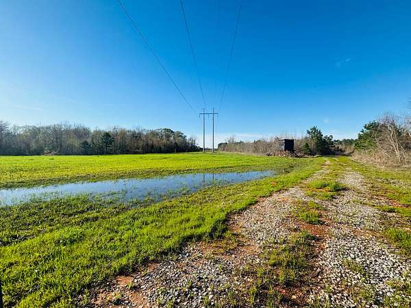 97 Acres of Recreational Land for Sale in Meridian, Mississippi