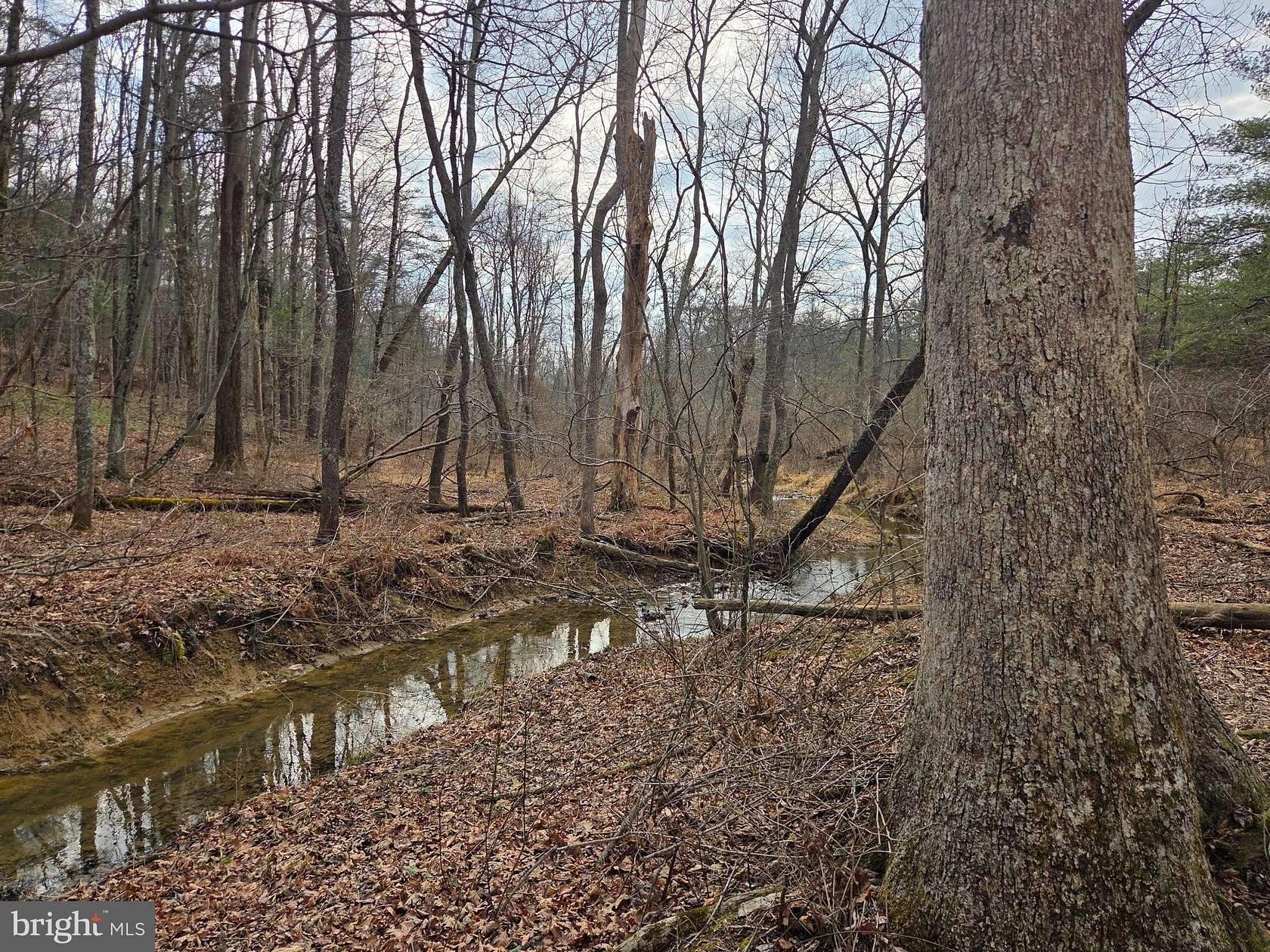 10 Acres of Recreational & Residential Land for Sale in Millerstown, Pennsylvania
