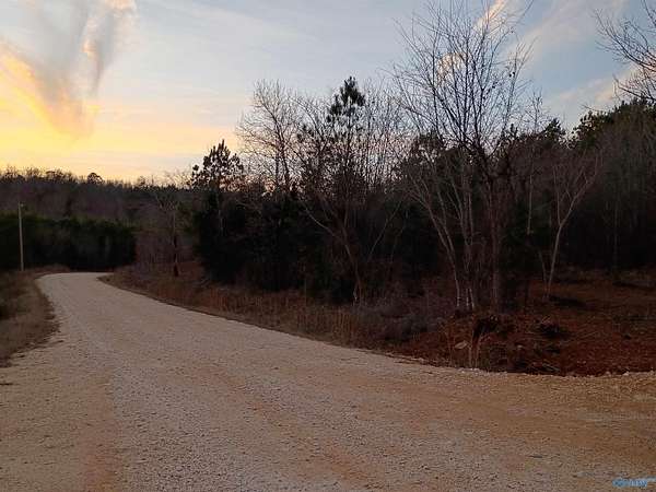 5.1 Acres of Residential Land for Sale in Piedmont, Alabama