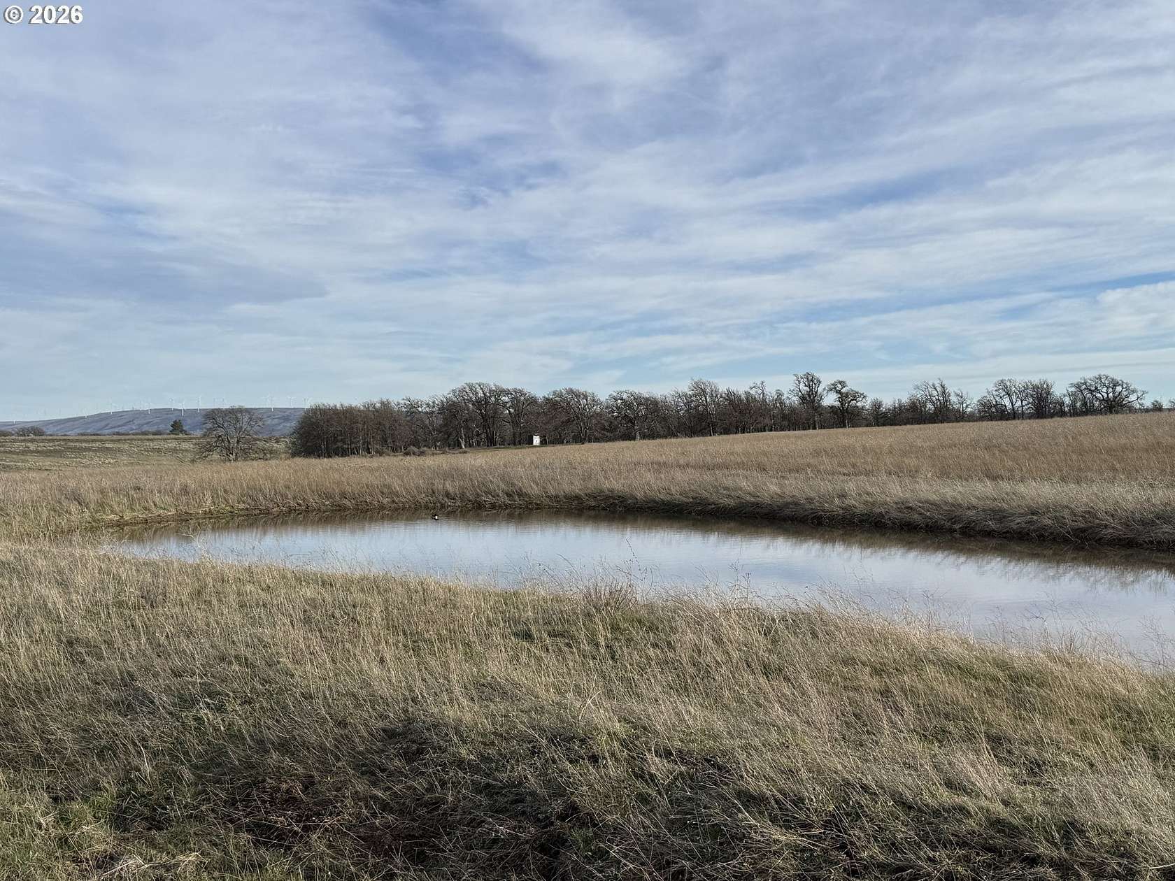 40 Acres of Land for Sale in Goldendale, Washington