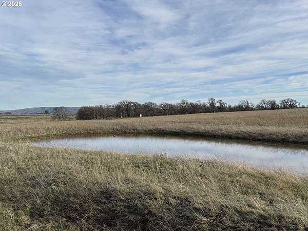40 Acres of Land for Sale in Goldendale, Washington