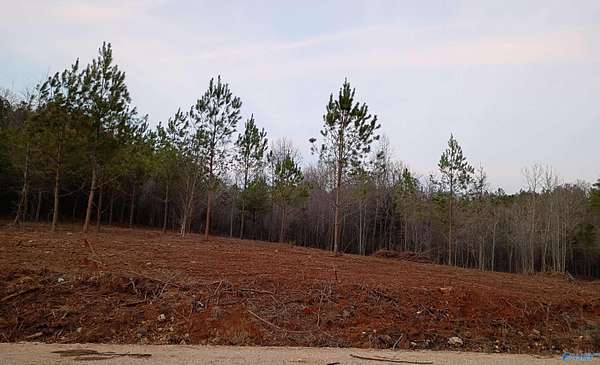 1.5 Acres of Residential Land for Sale in Piedmont, Alabama