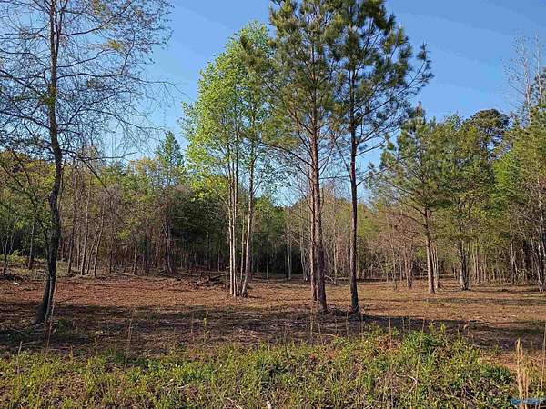 1.5 Acres of Residential Land for Sale in Piedmont, Alabama