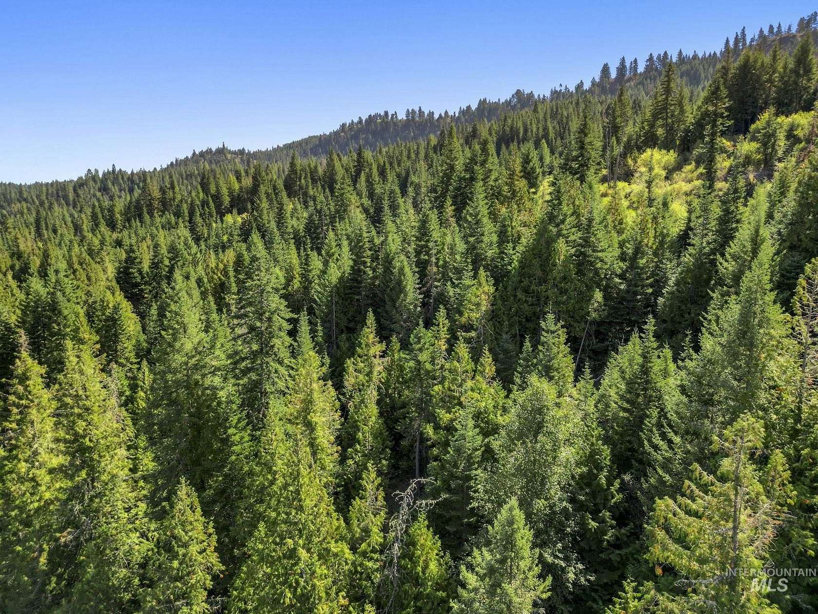 160 Acres of Recreational Land for Sale in Kendrick, Idaho