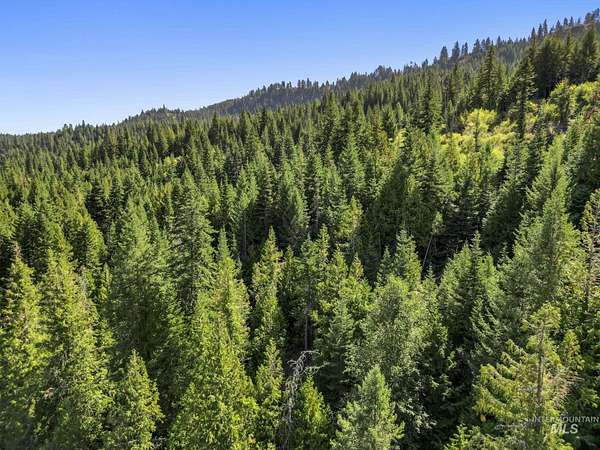 160 Acres of Recreational Land for Sale in Kendrick, Idaho