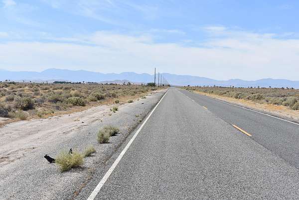 9.9 Acres of Land for Sale in Lancaster, California