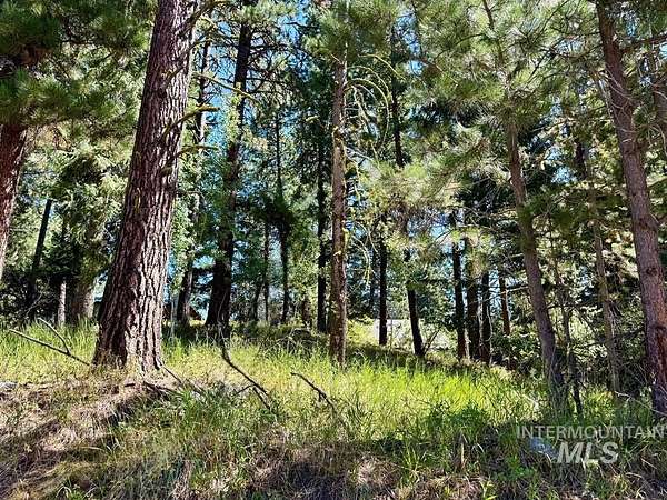 0.03 Acres of Land for Sale in McCall, Idaho