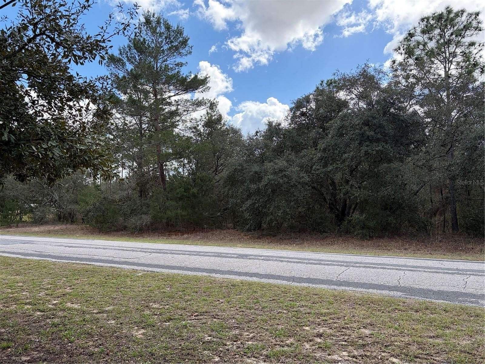 3.19 Acres of Residential Land for Sale in Beverly Hills, Florida