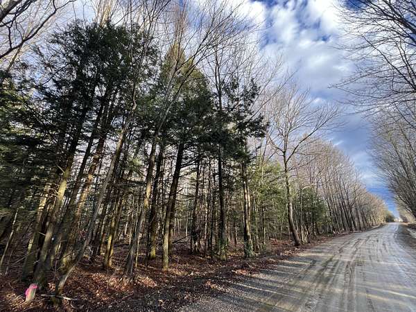 1 Acre of Residential Land for Sale in Chateaugay, New York