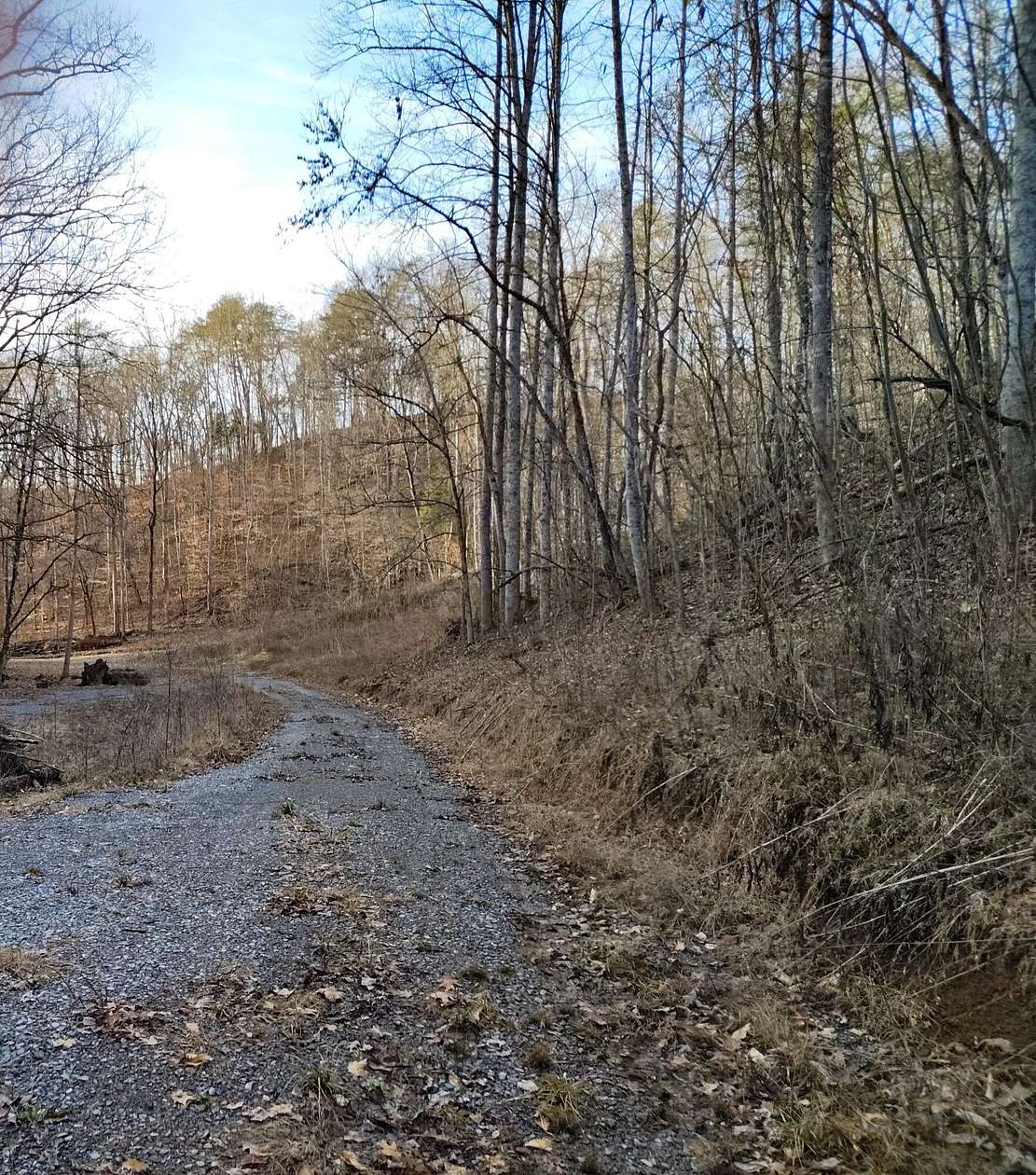 16.9 Acres of Land for Sale in Sevierville, Tennessee