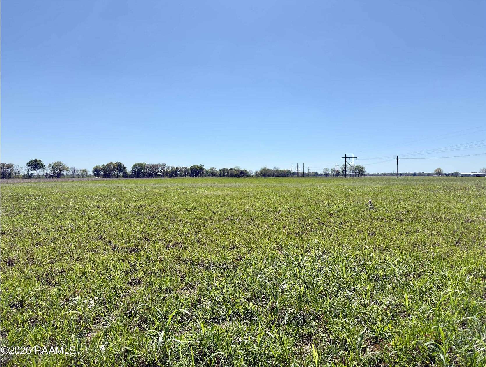 6 Acres of Residential Land for Sale in Rayne, Louisiana