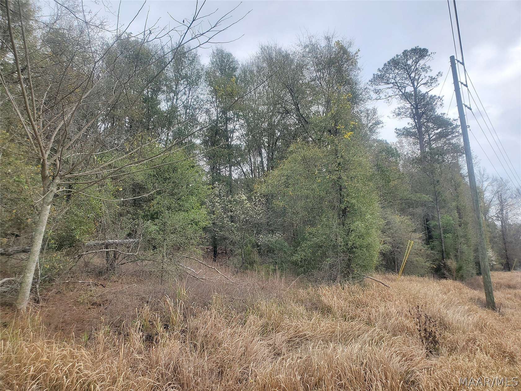 5 Acres of Residential Land for Sale in Gilbertown, Alabama