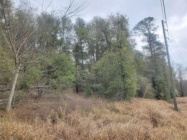 5 Acres of Residential Land for Sale in Gilbertown, Alabama
