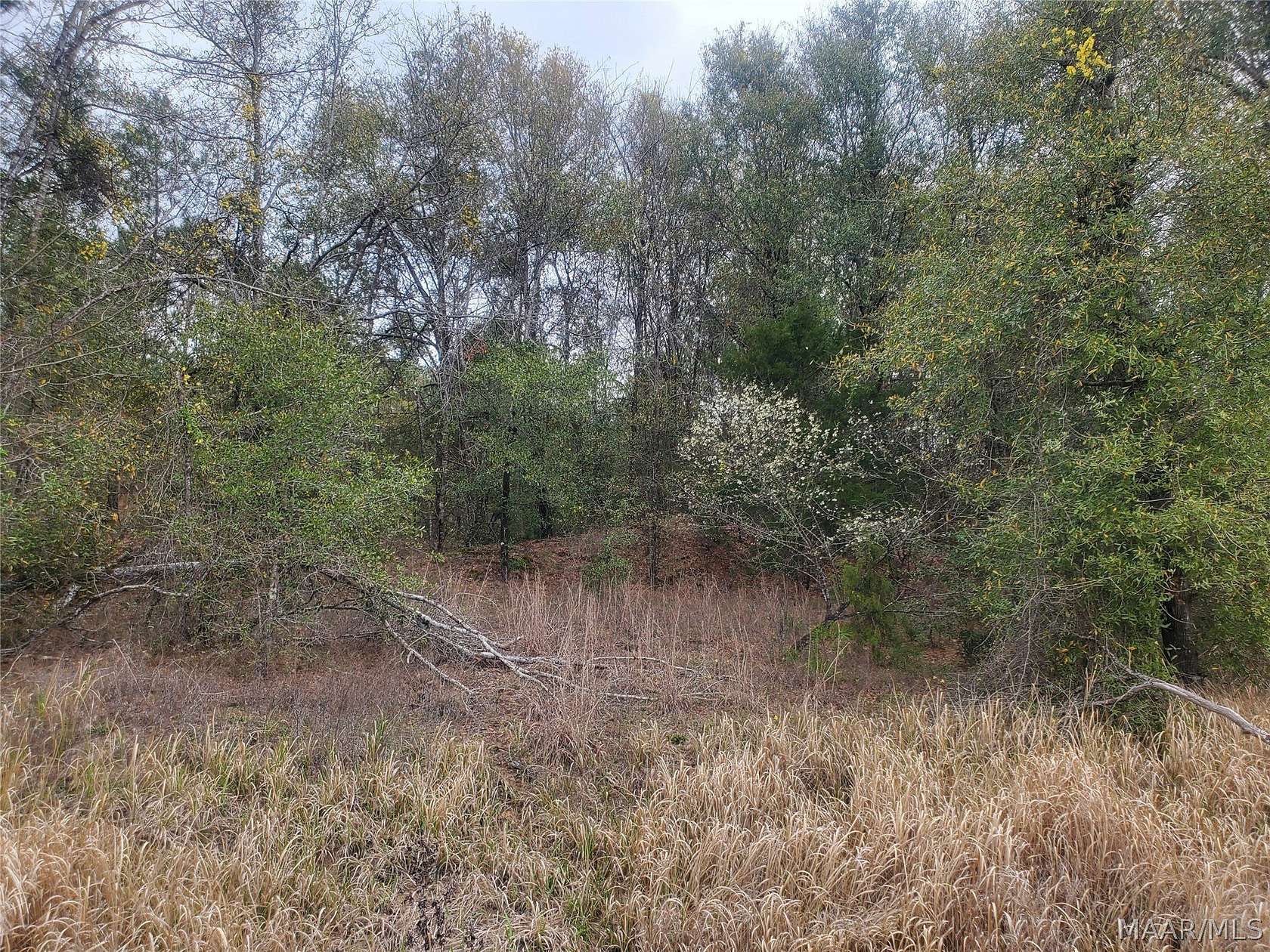 4 Acres of Residential Land for Sale in Gilbertown, Alabama