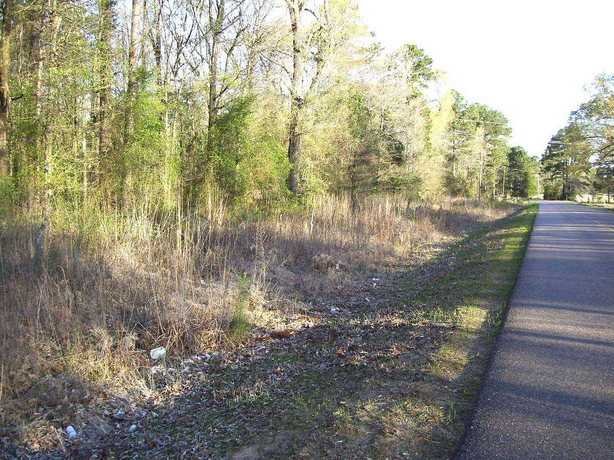 20 Acres of Land for Sale in Ashdown, Arkansas