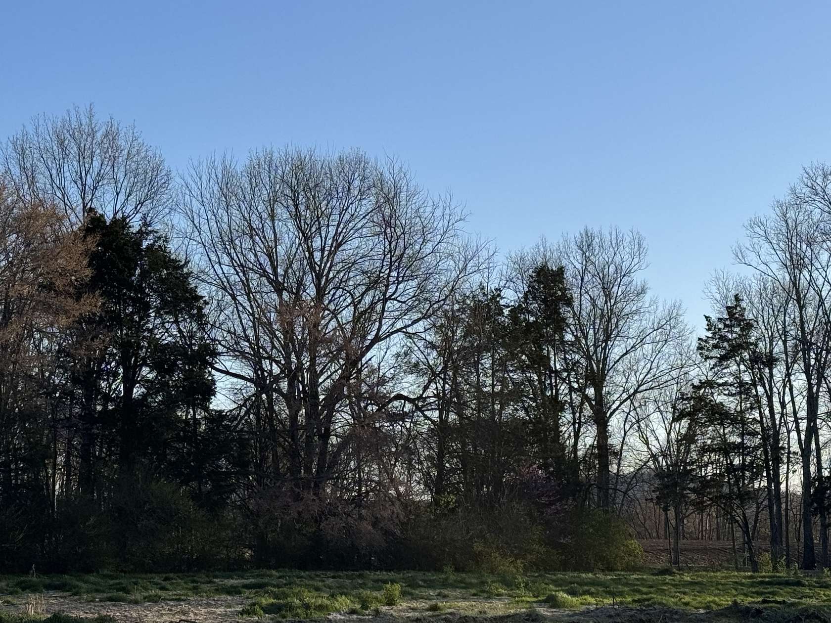 10 Acres of Residential Land for Sale in Franklin, Tennessee