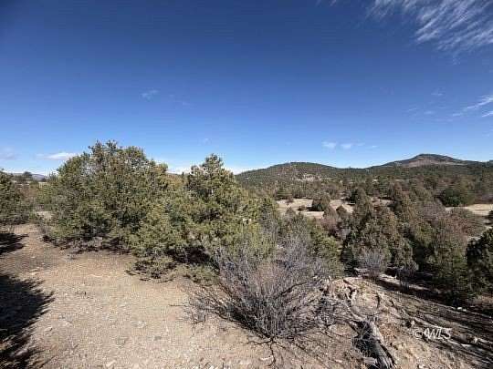 5 Acres of Land for Sale in Cotopaxi, Colorado