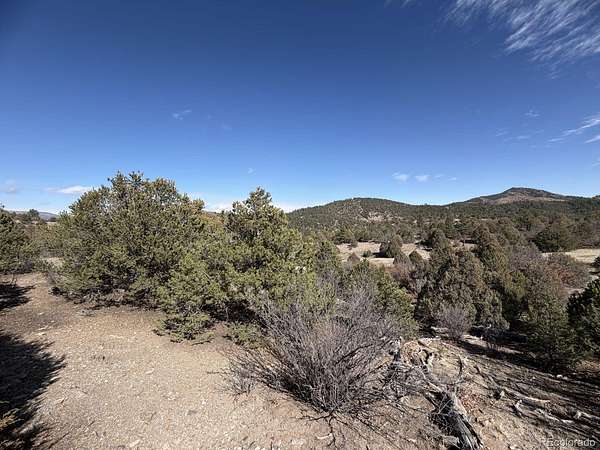 5 Acres of Land for Sale in Cotopaxi, Colorado