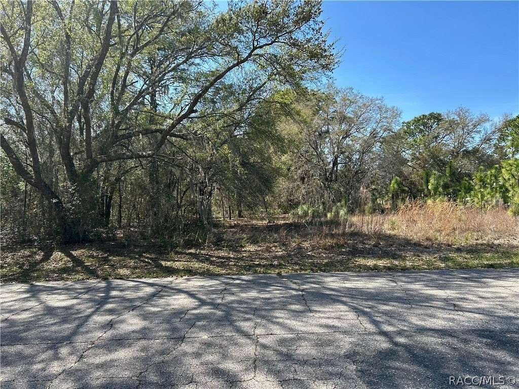 1.43 Acres of Residential Land for Sale in Beverly Hills, Florida