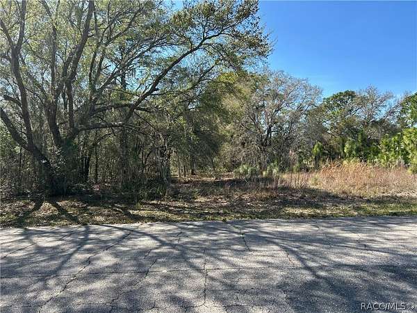 1.43 Acres of Residential Land for Sale in Beverly Hills, Florida