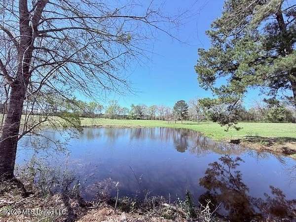 36.3 Acres of Agricultural & Residential Land for Sale in Kentwood, Louisiana