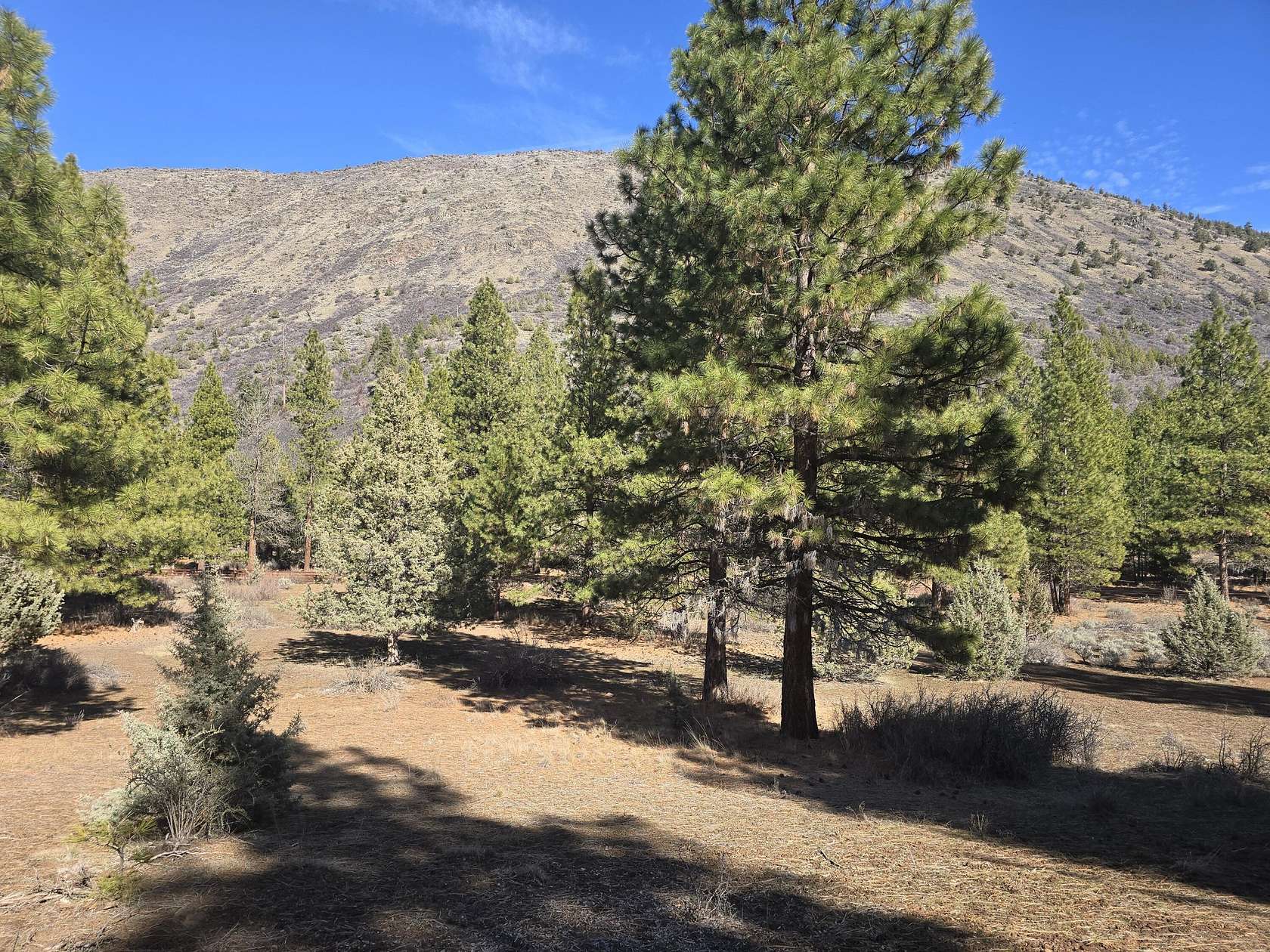 5 Acres of Residential Land for Sale in Klamath Falls, Oregon