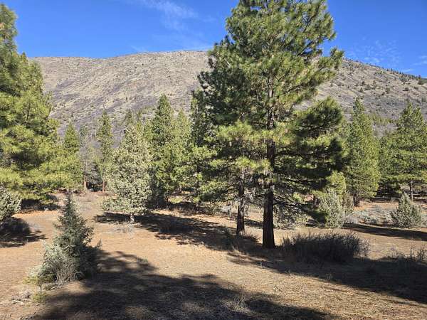5 Acres of Residential Land for Sale in Klamath Falls, Oregon