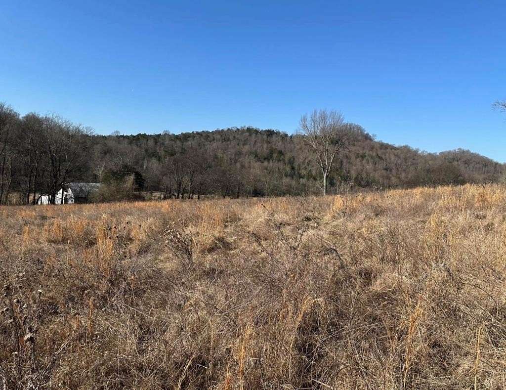 5.2 Acres of Residential Land for Sale in Pleasant Shade, Tennessee
