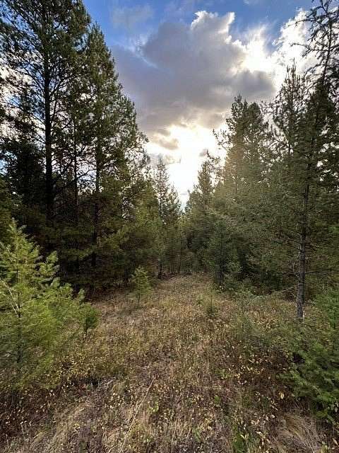 20 Acres of Recreational Land for Sale in Philipsburg, Montana