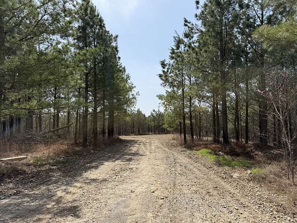 5 Acres of Residential Land for Sale in Erin, Tennessee