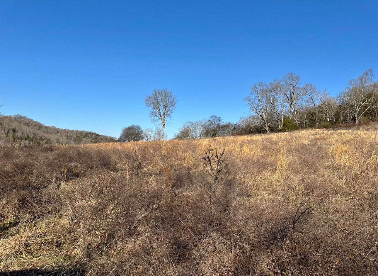 5.2 Acres of Residential Land for Sale in Gainesboro, Tennessee