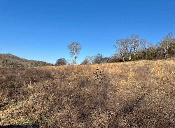 5.2 Acres of Residential Land for Sale in Gainesboro, Tennessee