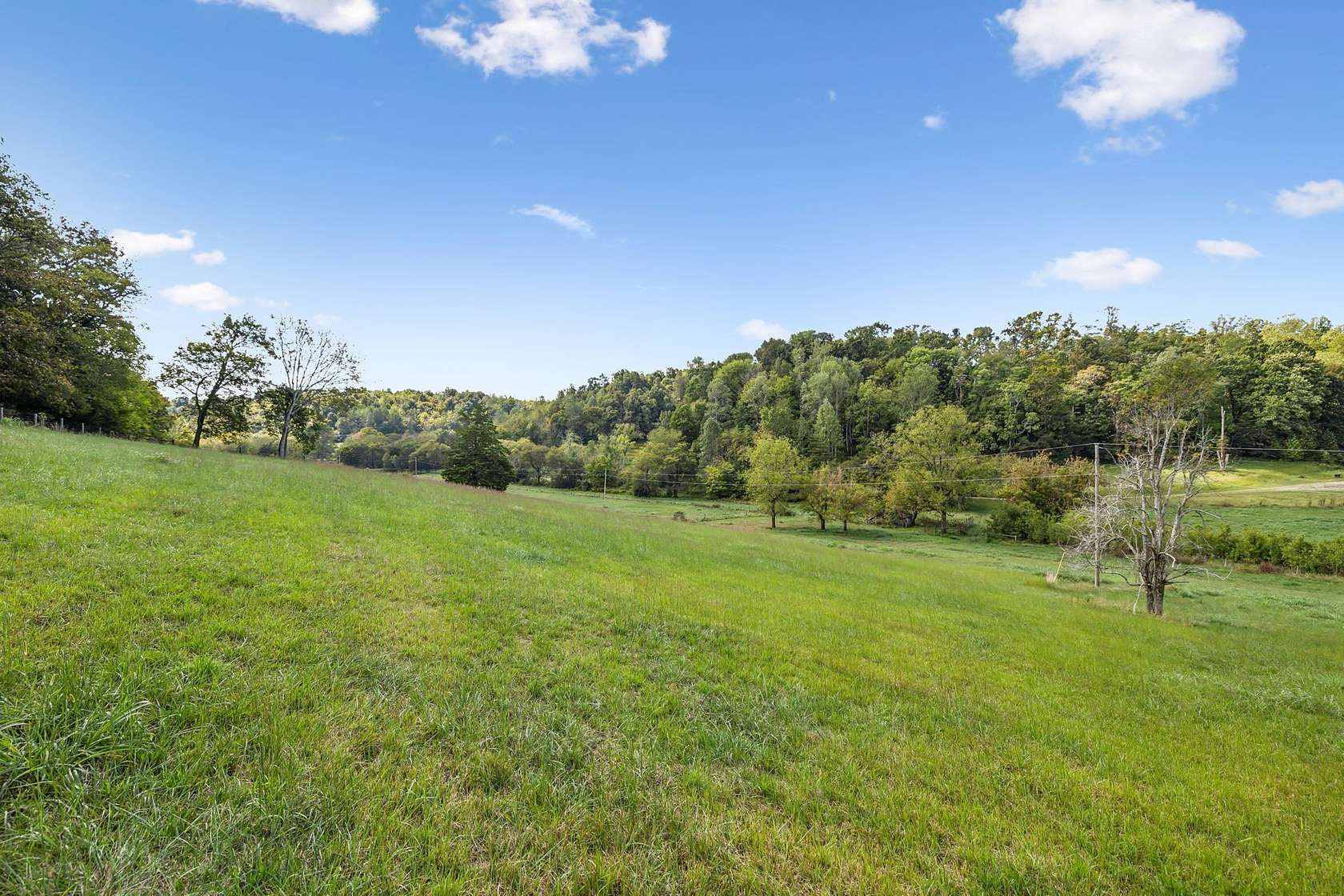 33 Acres of Land for Sale in Pulaski, Tennessee