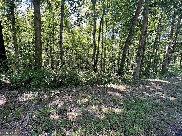 5.62 Acres of Residential Land for Sale in Temple, Georgia